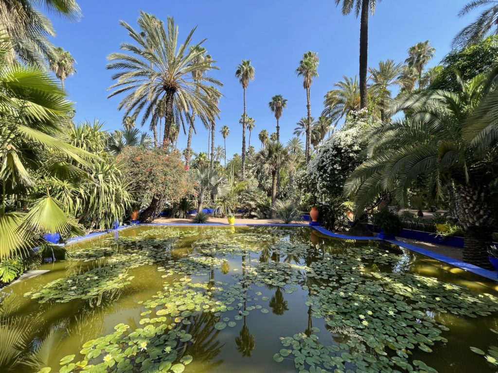 הגנים הבוטניים Majorelle Garden