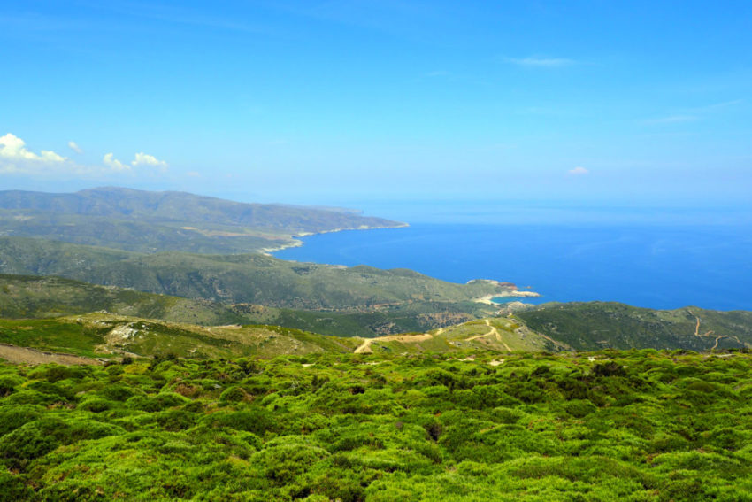 אנדרוס יוון