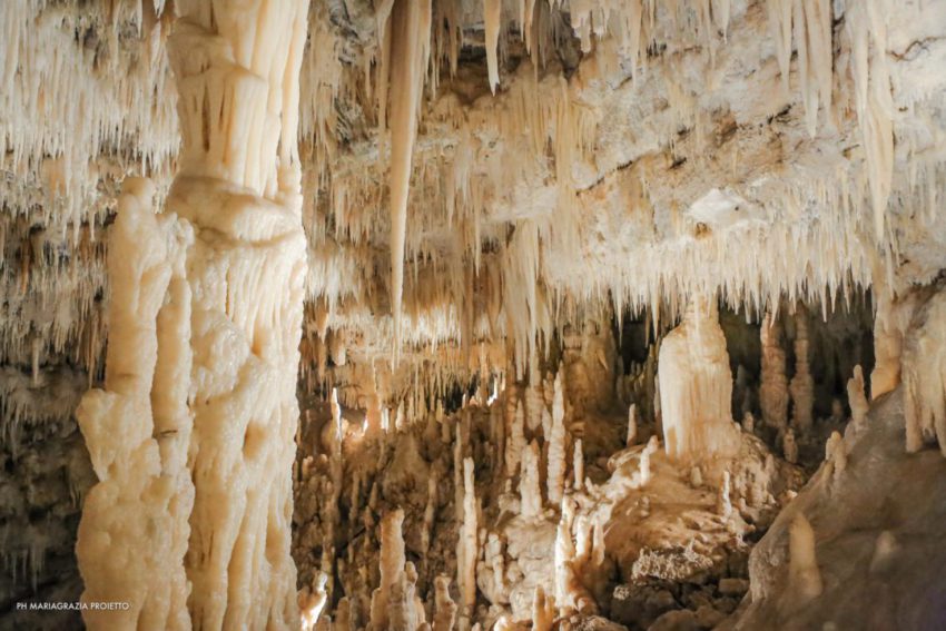 פוליה אטרקציות